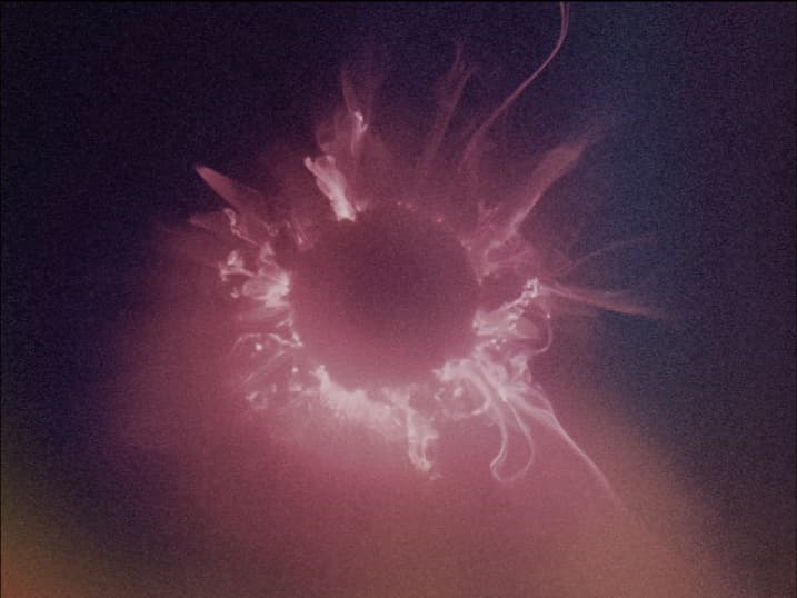 Decorative image depicting a solar flare in space