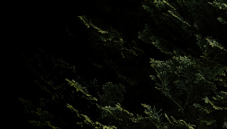 Background for: Example of Fin acting as an SDR Agent