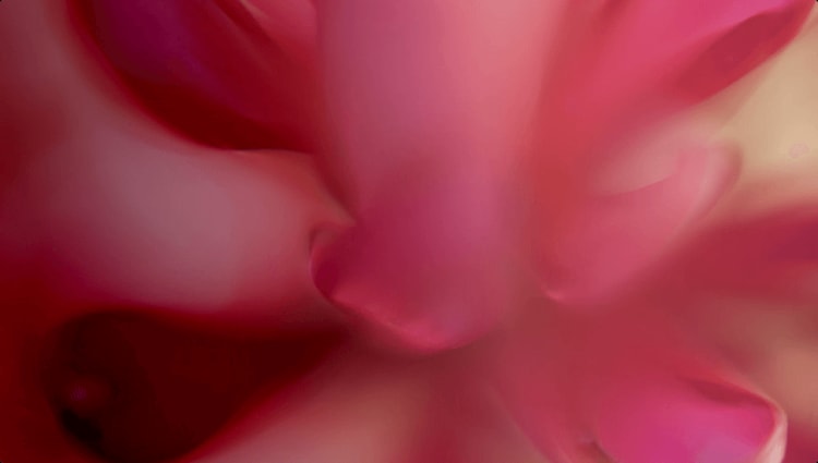 Background for: Example of Fin acting as an eCommerce shopping assistant in a mobile viewport