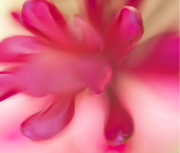 Blurred image background