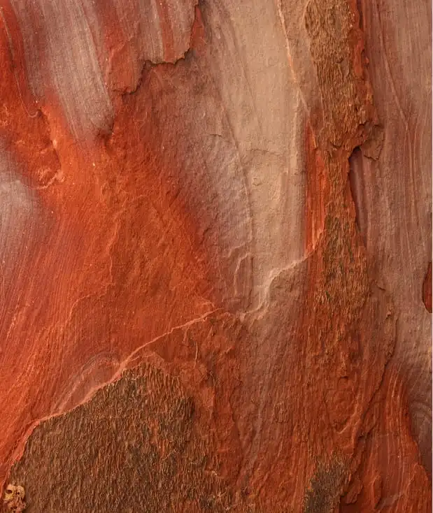 Blurred image background