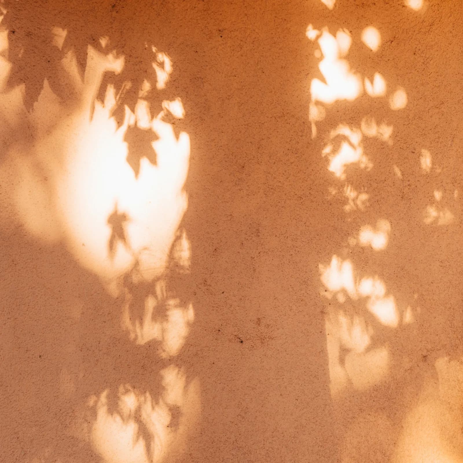 Leaf shadows cast on a warm terracotta wall