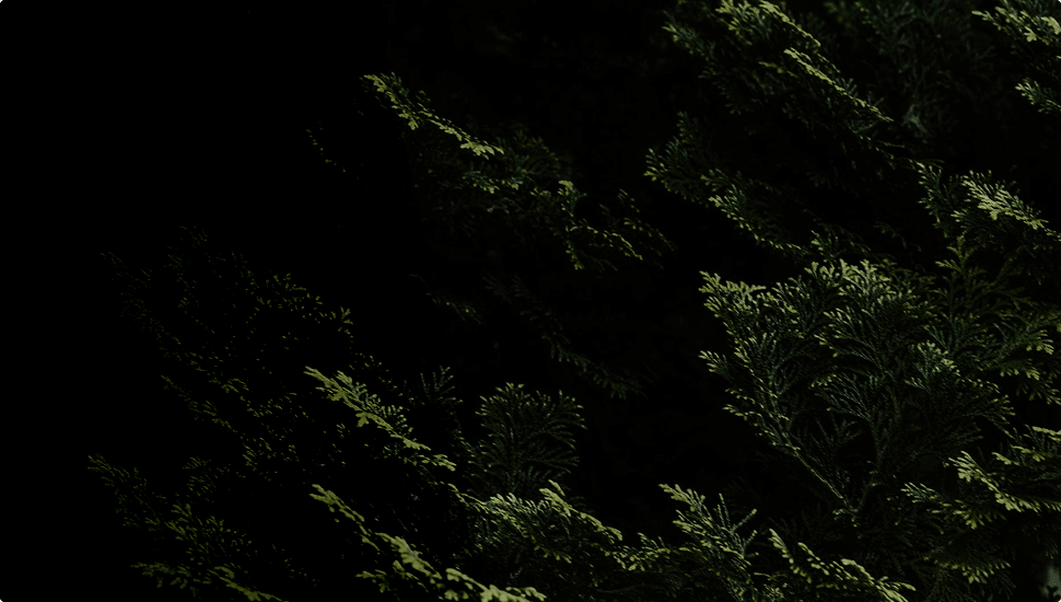 Background for: Example of Fin acting as an SDR Agent