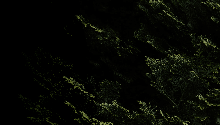 Background for: Example of Fin acting as an SDR Agent