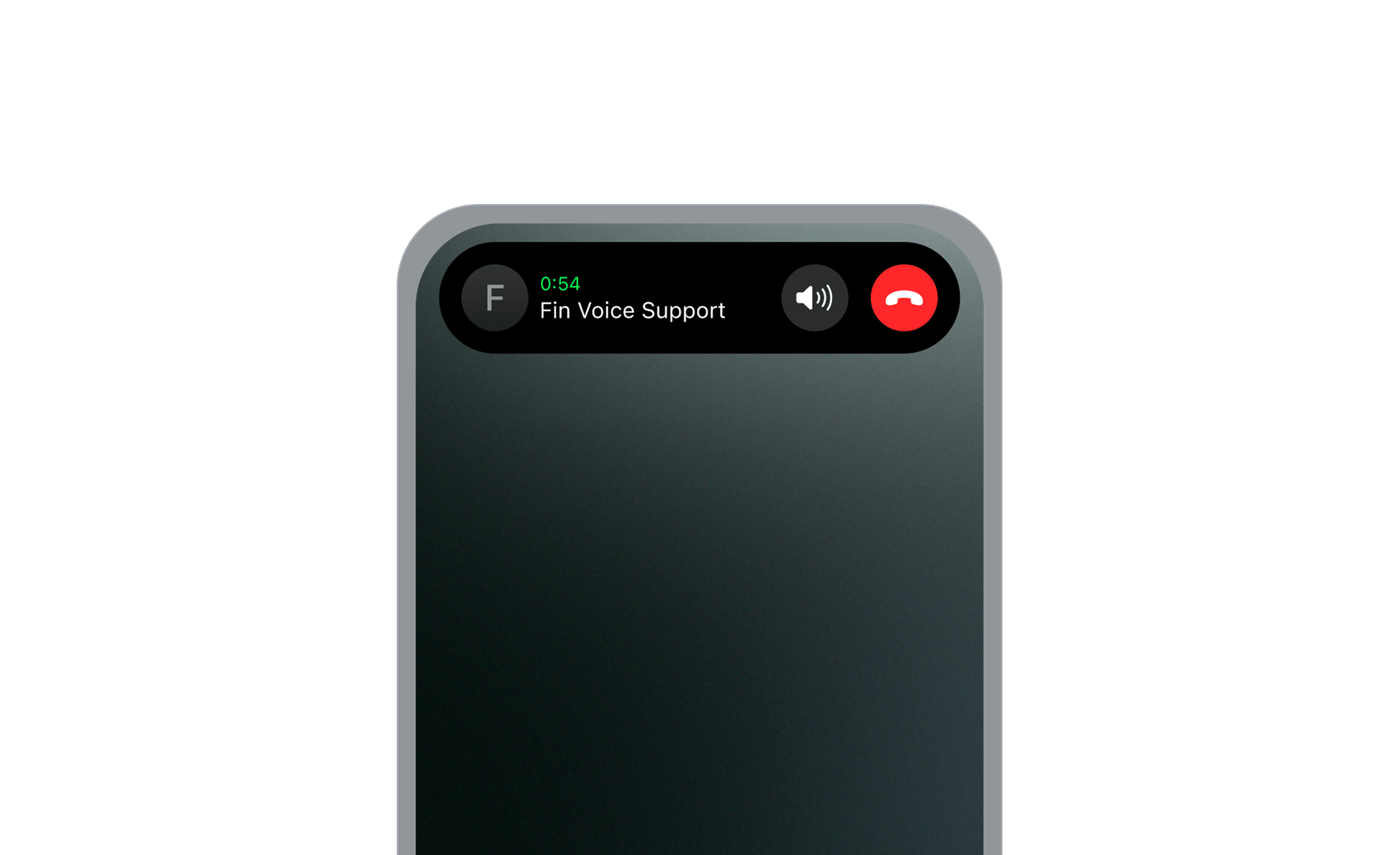 Fin Voice: Dynamic Noise Reduction