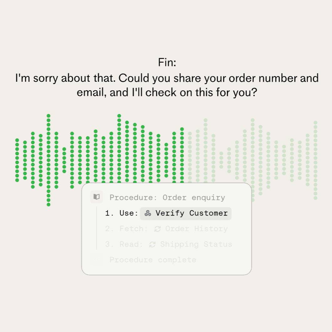 Fin Voice settings options.