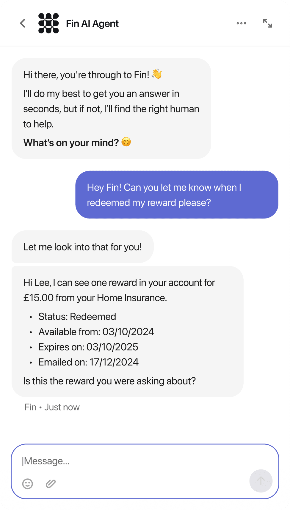 Fin checks account data, interprets the result, and responds with personalized reward details instantly.